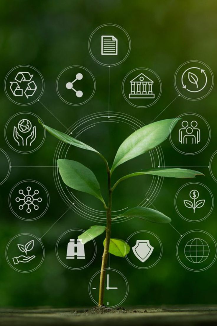 Smart Farming Systems